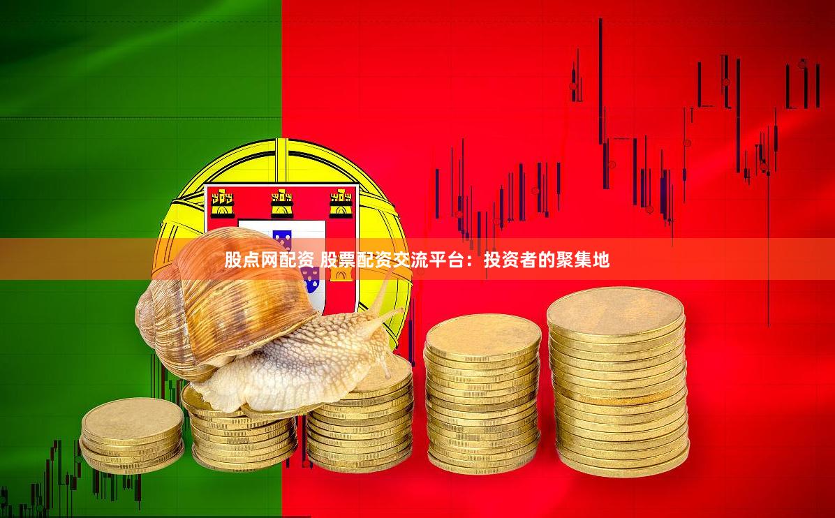 股点网配资 股票配资交流平台：投资者的聚集地