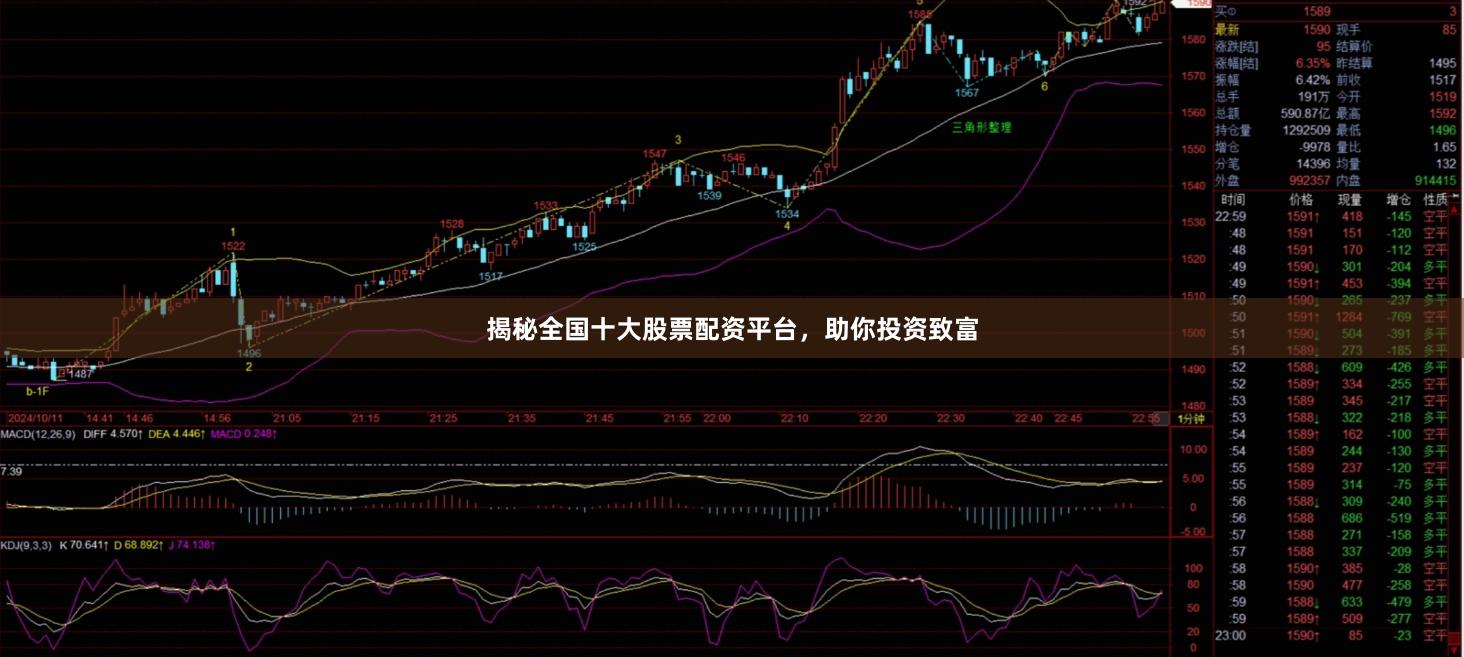 揭秘全国十大股票配资平台，助你投资致富
