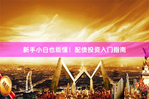 新手小白也能懂！配债投资入门指南