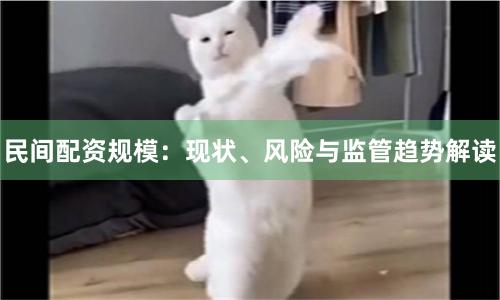 民间配资规模：现状、风险与监管趋势解读