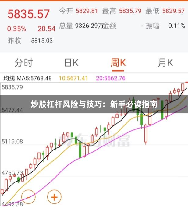炒股杠杆风险与技巧：新手必读指南